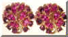 earspinkpurple.jpg (10741 bytes)