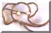 elephantpearlpin.jpg (9159 bytes)