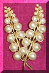 pearlbrooch.jpg (10517 bytes)