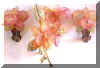 plasticflowerset.jpg (9667 bytes)