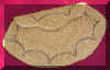 pursepiol.jpg (10517 bytes)