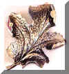 silverleafpin.jpg (13263 bytes)