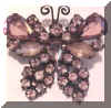 weissbutterfly.jpg (11890 bytes)